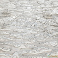 Marble ramp to the Hall of Supreme Harmony