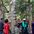 beijing-forbidden-city-DSC4667.jpg