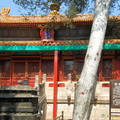 beijing-forbidden-city-DSC4674.jpg