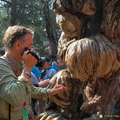 beijing-forbidden-city-DSC4681.jpg