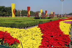 Floral decorations in Tiananmen Square