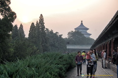 Walkway to the Temple of Heaven