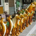 Camels and horses from the terracotta army