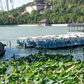 View of Longevity Hill