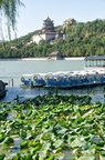 View of Longevity Hill