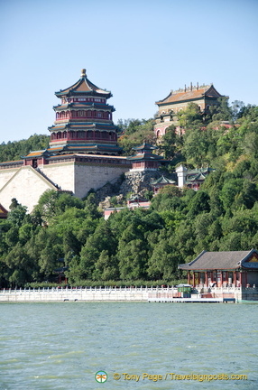 View of Longevity Hill