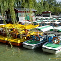 beijing-summer-palace-AJP4166.jpg