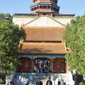 Longevity Hill