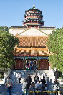 Longevity Hill