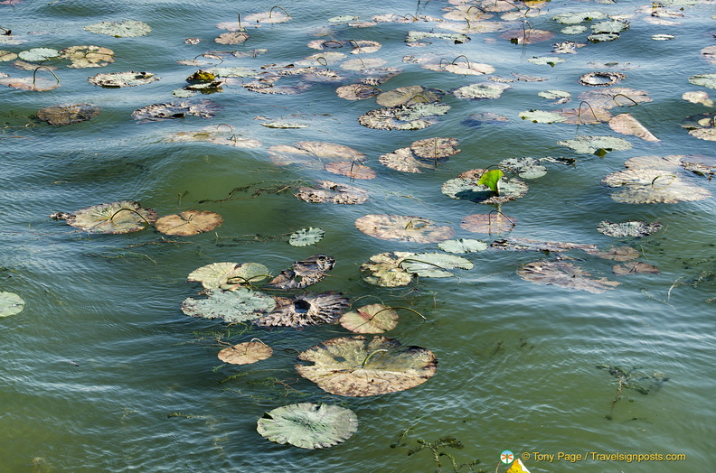 beijing-summer-palace-AJP4213.jpg