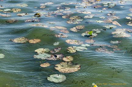 Kunming Lake