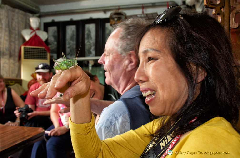 Mr. Liu Lets us Hold his Champion Crickets