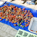 Beijing Hutong - Colourful Stones