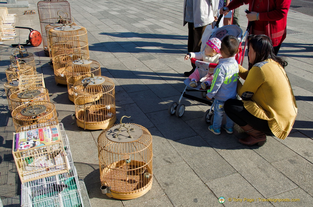 Bird Vendors Outside the Mountain Resort