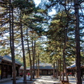 Chengde Mountain Resort Palace Courtyard