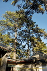 Chengde Mountain Resort Gardens