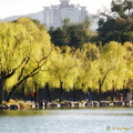 Chengde Mountain Resort Lake Zone