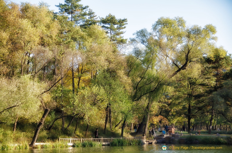 Chengde Mountain Resort Vegetation