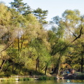 Chengde Mountain Resort Vegetation