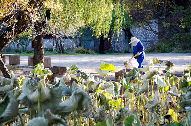 Mountain Resort - Gardener at Work