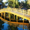 A Bridge and its Reflection