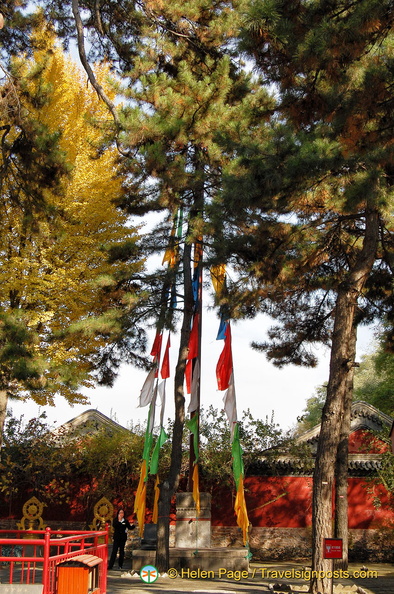 chengde-puning-temple-DSC4409.jpg