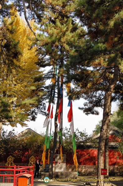 chengde-puning-temple-DSC4409.jpg