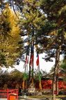 Puning Si Prayer Flags and Stupa