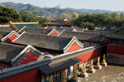 Puning Si Temple Roofs