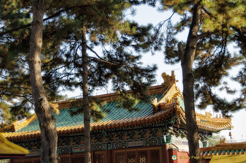 Puyou Temple Roof Decorations