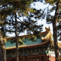 Puyou Temple Roof Decorations