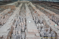 Rows of infantrymen and their horses