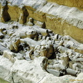 Reconstruction of Terracotta Warriors