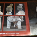 Details of Terracotta Warriors to look out for