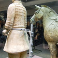 xian-terracotta_warriors-DSC_5211.jpg