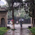 Visiting the Small Wild Goose Pagoda