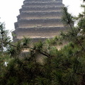 Small Wild Goose is Pagoda of Jianfu Temple