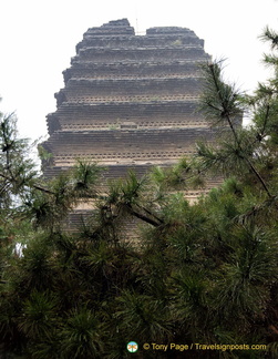 Small Wild Goose is Pagoda of Jianfu Temple