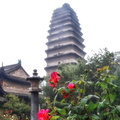 Small Wild Goose Pagoda Garden View
