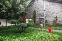 Small Wild Goose Pagoda Garden