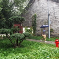 Small Wild Goose Pagoda Garden