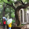 xian-small-wild-goose-pagoda-AJP4820.jpg