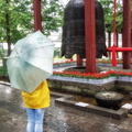 xian-small-wild-goose-pagoda-AJP4824.jpg