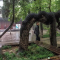 xian-small-wild-goose-pagoda-AJP4822.jpg