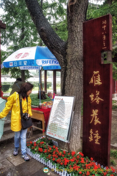 xian-small-wild-goose-pagoda-AJP4828.jpg