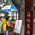 Reading about the Morning Bell Chimes