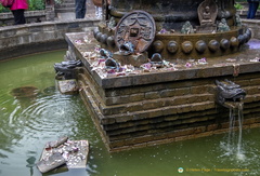 Water fountain features