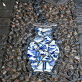 Pavement decoration