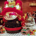 Lion Dance costume