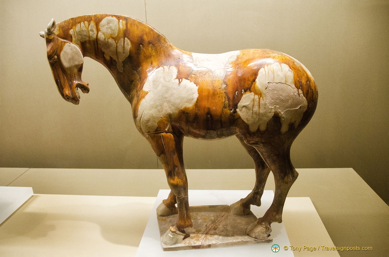 Tang Dynasty Tri-color Horse with Lowered Head